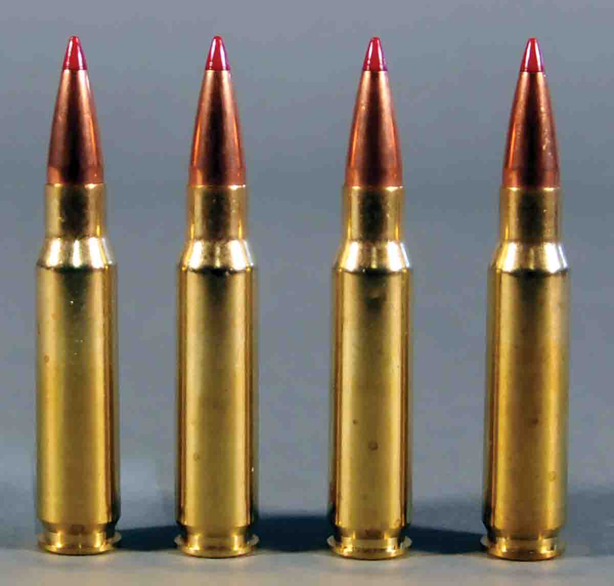 The Black Hills ammunition shot very well and represented the type of accuracy hunters need for big-game hunting.